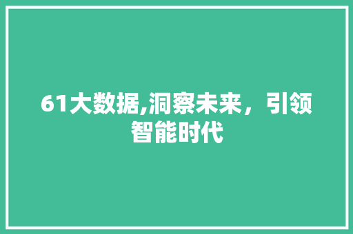 61大数据,洞察未来，引领智能时代 GoogleSEO
