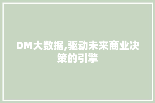 DM大数据,驱动未来商业决策的引擎 必应SEO