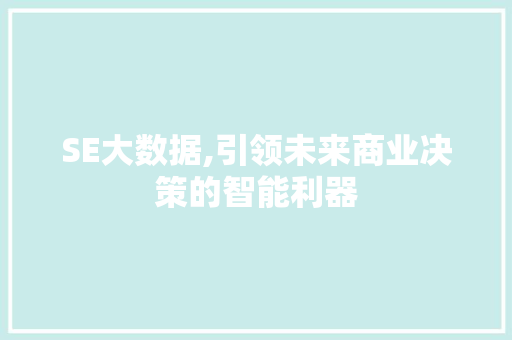 SE大数据,引领未来商业决策的智能利器 百度SEO