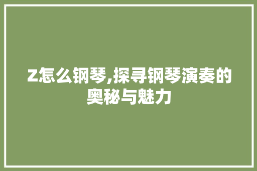 Z怎么钢琴,探寻钢琴演奏的奥秘与魅力 GoogleSEO