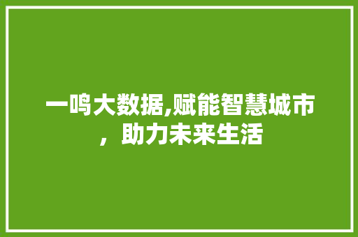 一鸣大数据,赋能智慧城市，助力未来生活 GoogleSEO