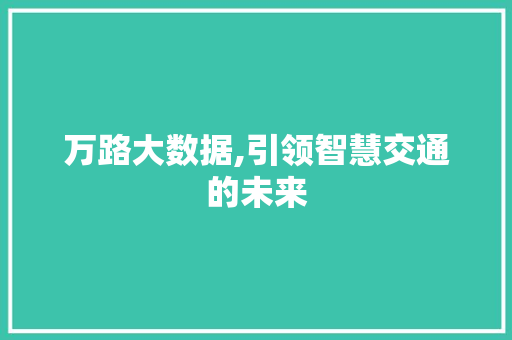 万路大数据,引领智慧交通的未来 神马SEO