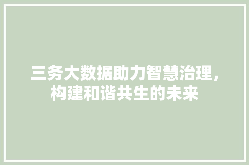 三务大数据助力智慧治理，构建和谐共生的未来 必应SEO