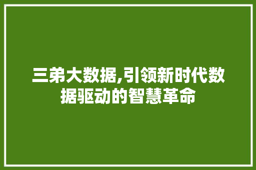 三弟大数据,引领新时代数据驱动的智慧革命 搜狗SEO