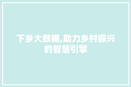 下乡大数据,助力乡村振兴的智慧引擎 搜狗SEO