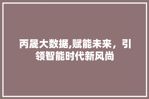 丙晟大数据,赋能未来，引领智能时代新风尚 必应SEO