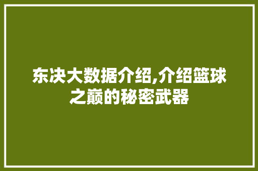 东决大数据介绍,介绍篮球之巅的秘密武器 神马SEO