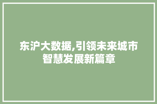 东沪大数据,引领未来城市智慧发展新篇章 百度SEO