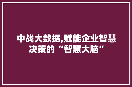 中战大数据,赋能企业智慧决策的“智慧大脑”