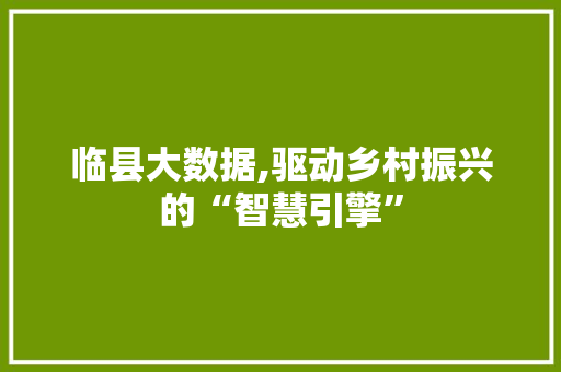 临县大数据,驱动乡村振兴的“智慧引擎”
