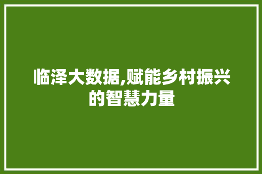 临泽大数据,赋能乡村振兴的智慧力量 百度SEO