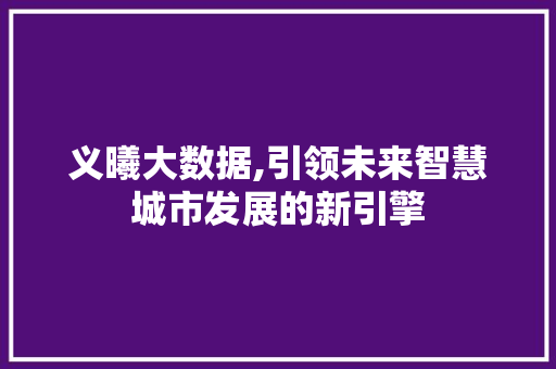 义曦大数据,引领未来智慧城市发展的新引擎 GoogleSEO