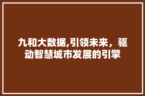 九和大数据,引领未来，驱动智慧城市发展的引擎 百度SEO