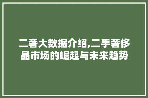 二奢大数据介绍,二手奢侈品市场的崛起与未来趋势 必应SEO
