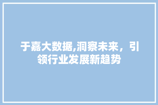 于嘉大数据,洞察未来，引领行业发展新趋势
