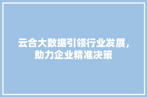 云合大数据引领行业发展，助力企业精准决策 神马SEO