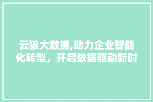 云狼大数据,助力企业智能化转型，开启数据驱动新时代 搜狗SEO