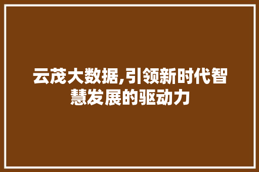 云茂大数据,引领新时代智慧发展的驱动力 GoogleSEO