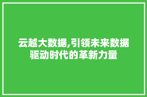 云越大数据,引领未来数据驱动时代的革新力量 GoogleSEO