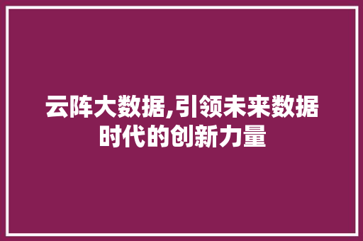 云阵大数据,引领未来数据时代的创新力量 必应SEO
