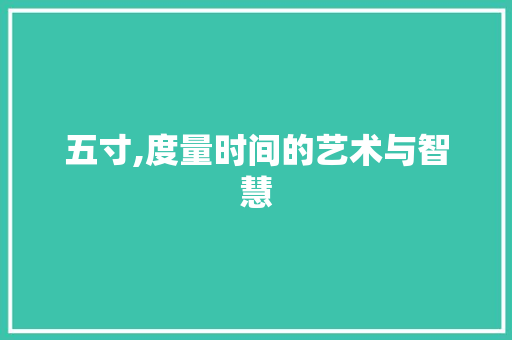 五寸,度量时间的艺术与智慧 GoogleSEO