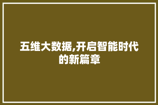 五维大数据,开启智能时代的新篇章