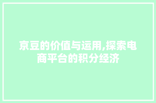 京豆的价值与运用,探索电商平台的积分经济 百度SEO