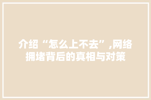 介绍“怎么上不去”,网络拥堵背后的真相与对策