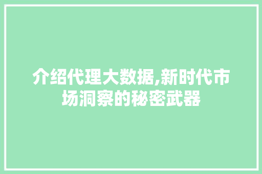 介绍代理大数据,新时代市场洞察的秘密武器 GoogleSEO