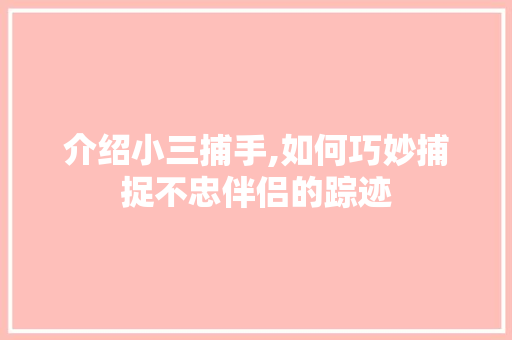介绍小三捕手,如何巧妙捕捉不忠伴侣的踪迹 百度SEO