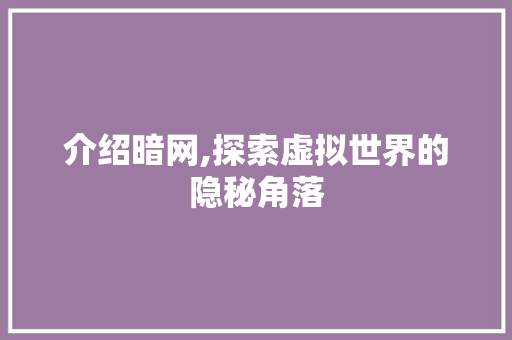 介绍暗网,探索虚拟世界的隐秘角落 神马SEO
