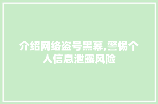 介绍网络盗号黑幕,警惕个人信息泄露风险 必应SEO