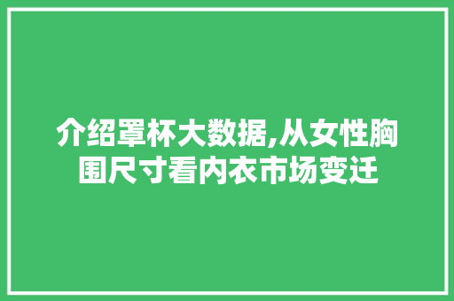介绍罩杯大数据,从女性胸围尺寸看内衣市场变迁 GoogleSEO