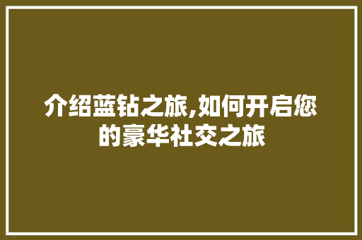 介绍蓝钻之旅,如何开启您的豪华社交之旅 GoogleSEO
