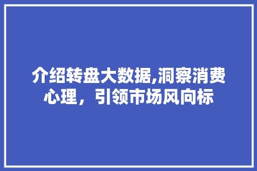介绍转盘大数据,洞察消费心理，引领市场风向标 神马SEO
