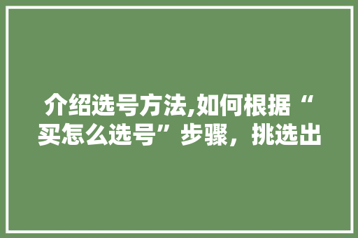 介绍选号方法,如何根据“买怎么选号”步骤，挑选出心仪的号码 百度SEO