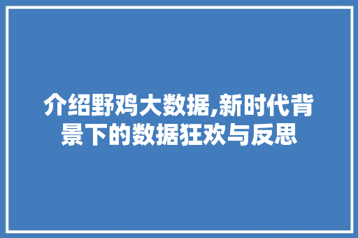 介绍野鸡大数据,新时代背景下的数据狂欢与反思 神马SEO