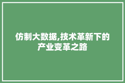 仿制大数据,技术革新下的产业变革之路