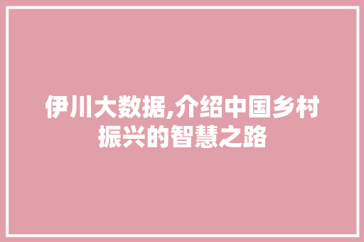 伊川大数据,介绍中国乡村振兴的智慧之路 GoogleSEO