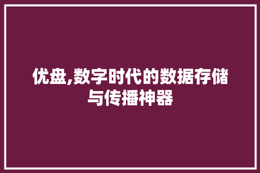 优盘,数字时代的数据存储与传播神器 GoogleSEO