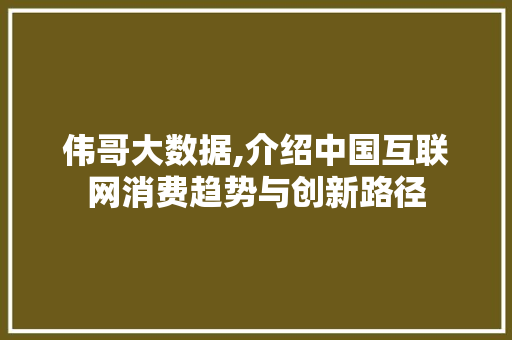 伟哥大数据,介绍中国互联网消费趋势与创新路径 神马SEO