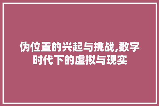 伪位置的兴起与挑战,数字时代下的虚拟与现实 搜狗SEO