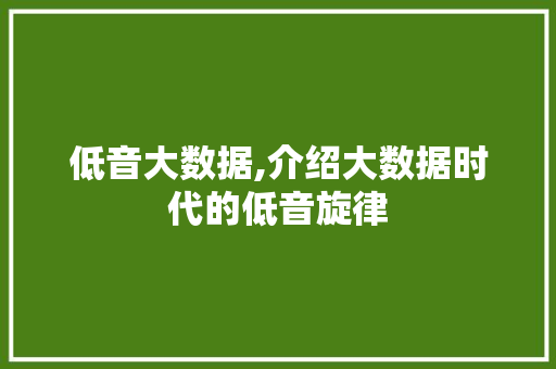 低音大数据,介绍大数据时代的低音旋律 神马SEO