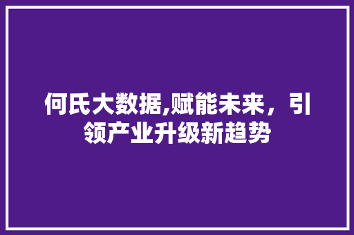 何氏大数据,赋能未来，引领产业升级新趋势 神马SEO