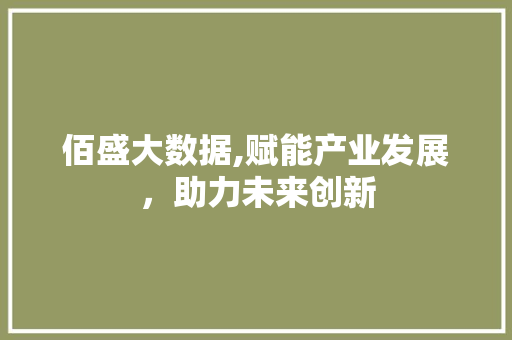 佰盛大数据,赋能产业发展，助力未来创新 百度SEO