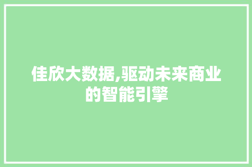 佳欣大数据,驱动未来商业的智能引擎 百度SEO