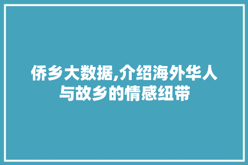 侨乡大数据,介绍海外华人与故乡的情感纽带 神马SEO