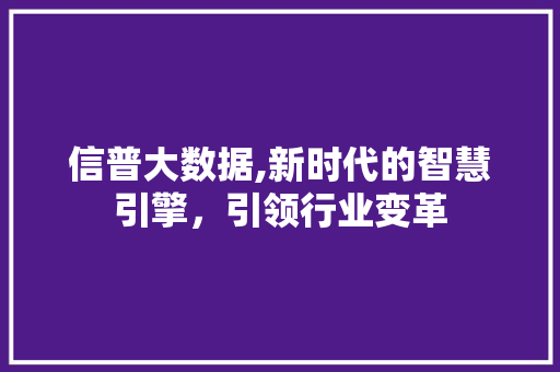 信普大数据,新时代的智慧引擎，引领行业变革 GoogleSEO