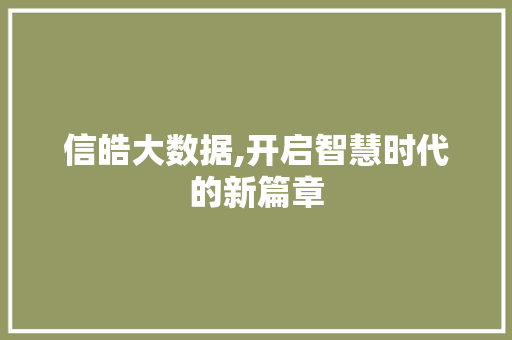 信皓大数据,开启智慧时代的新篇章 百度SEO