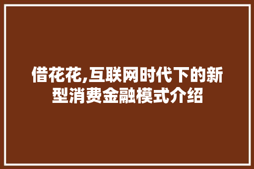 借花花,互联网时代下的新型消费金融模式介绍 神马SEO